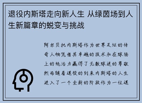 退役内斯塔走向新人生 从绿茵场到人生新篇章的蜕变与挑战