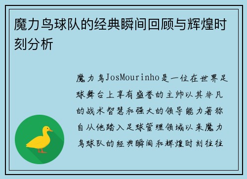魔力鸟球队的经典瞬间回顾与辉煌时刻分析